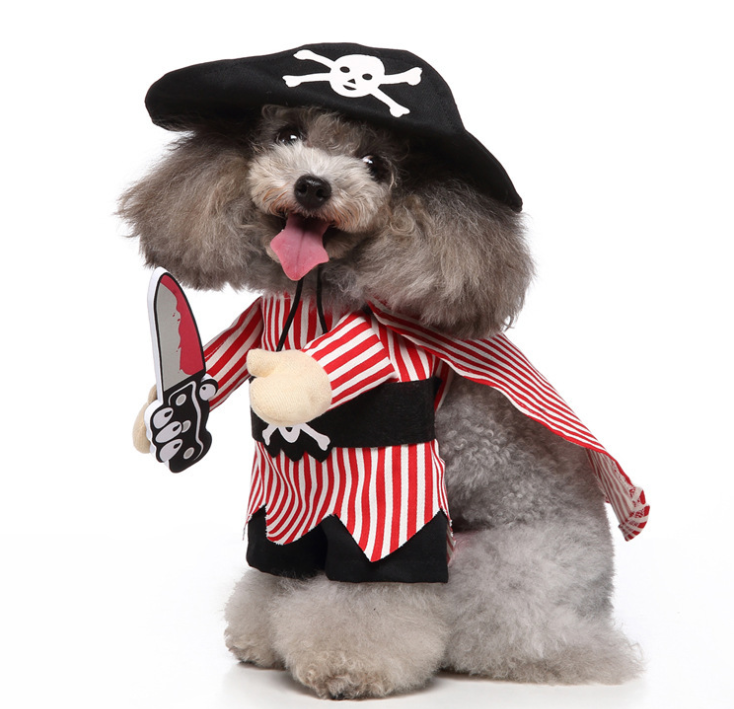 Vetopia Costume- Pirate