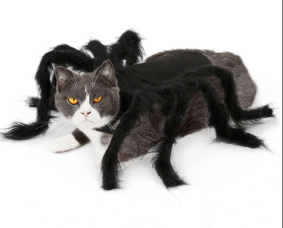 Vetopia Costume - Spider