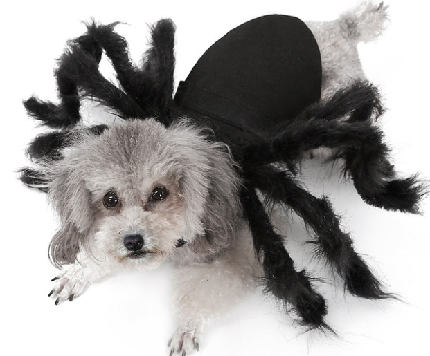 Vetopia Costume - Spider