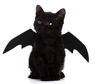 Vetopia 萬聖節系列 - 貓貓蝙蝠翼 (黑色)