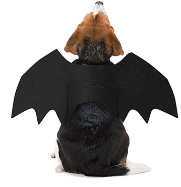 Vetopia Costume - Bat Black Wing (Dog)