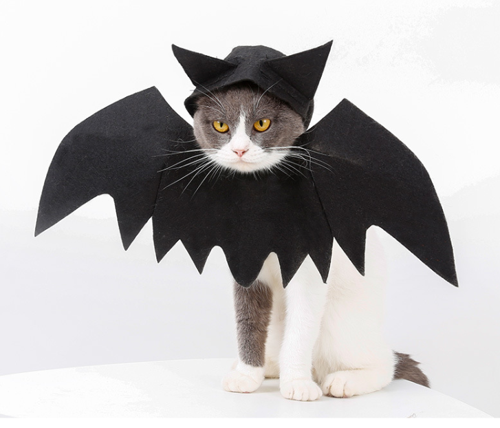 Vetopia 萬聖節系列 - 貓貓蝙蝠翼連頭飾