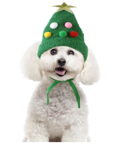 Vetopia Costume - Christmas Tree Hat