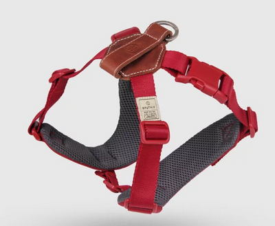 SPUTNIK - Harness - Red