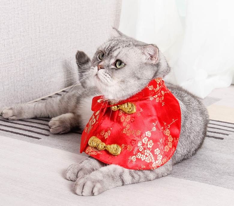 Vetopia Costume - Chinese New Year Cloak