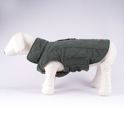 ThinkPet Reversible Winter Coat for Dogs - Green | Vetopia 