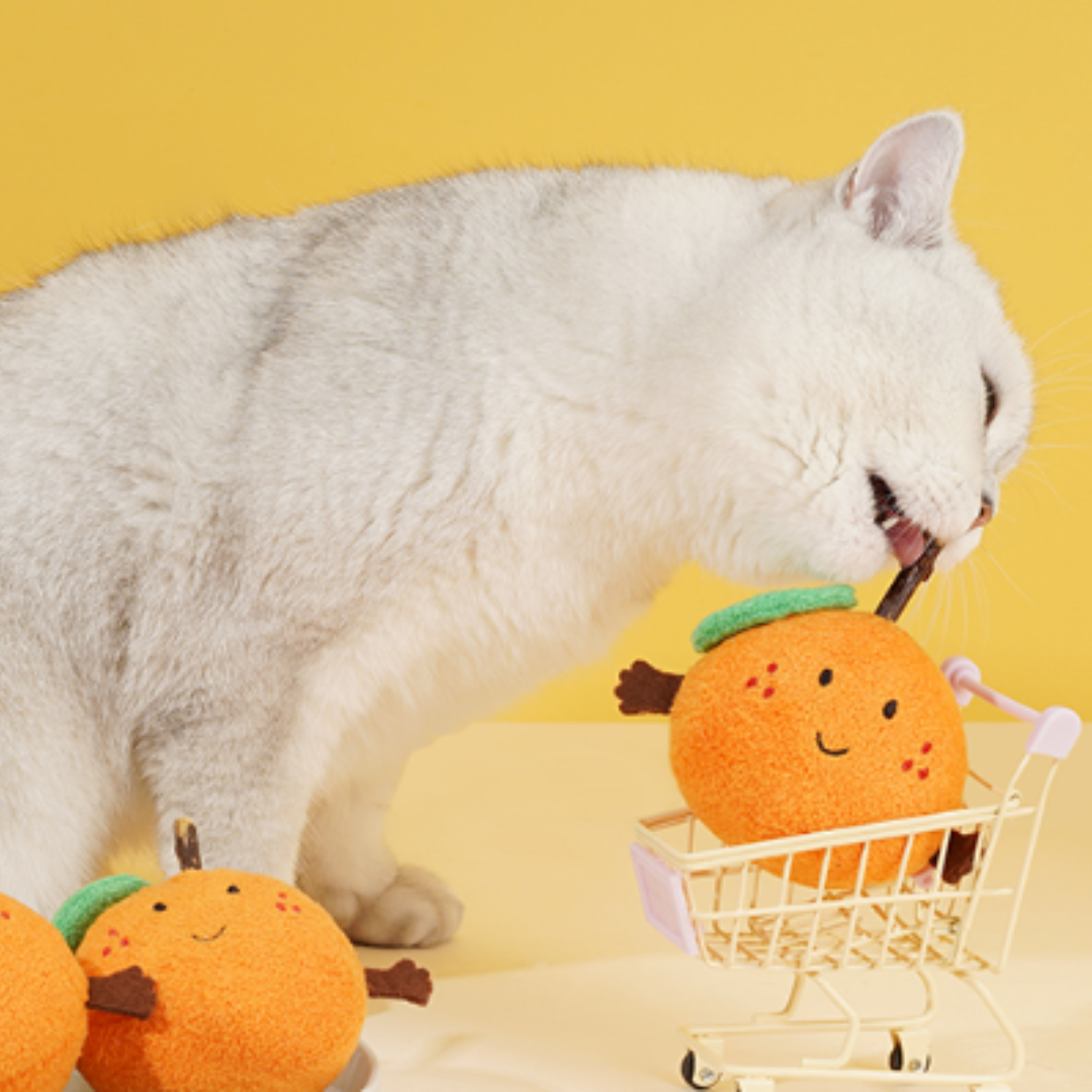 Zeze Pet - Tangerine Catnip Toy