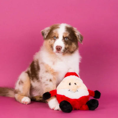 ZippyPaws | Holiday Brainey - Santa | Dog Christmas Gift | Vetopia