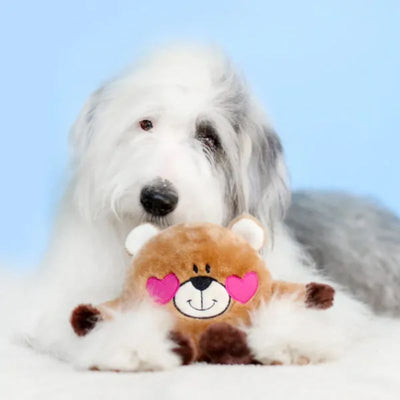 ZippyPaws | Valentines Bear in Love Plush | Dog Accessories | Vetopia