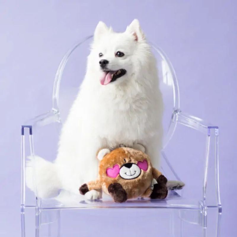 ZippyPaws | Valentines Bear in Love Plush | Dog Accessories | Vetopia
