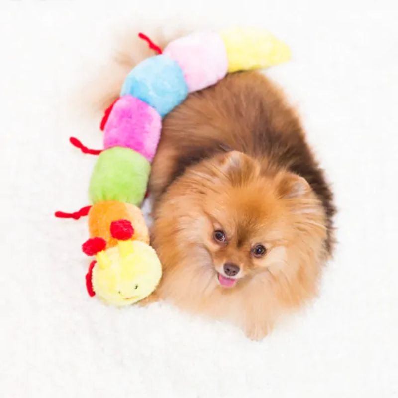 ZippyPaws | Caterpillar Large 6 Squeakers | Dog Plush Toy | Vetopia