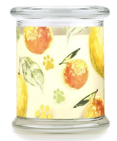 One Fur All Pet House Candle - Fresh Citrus 8.5oz