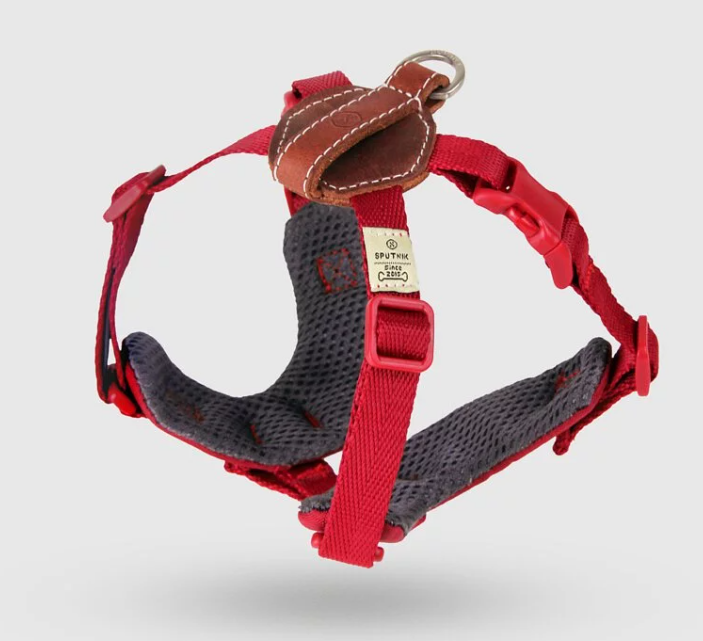 SPUTNIK - Harness - Red