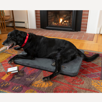Rebound Vet Products - Assisi Loop Lounge